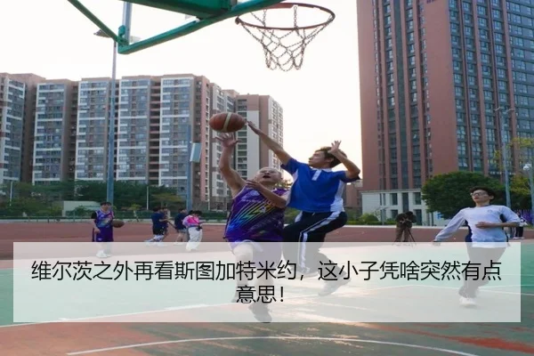 wei-er-ci-zhi-wai-zai-kan-si-tu-jia-te-mi-yue-zhe-xiao-zi-ping-sha-tu-ran-you-dian-yi-si-2-678.jpg