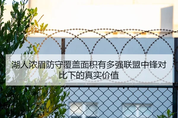 湖人浓眉防守覆盖面积有多强联盟中锋对比下的真实价值