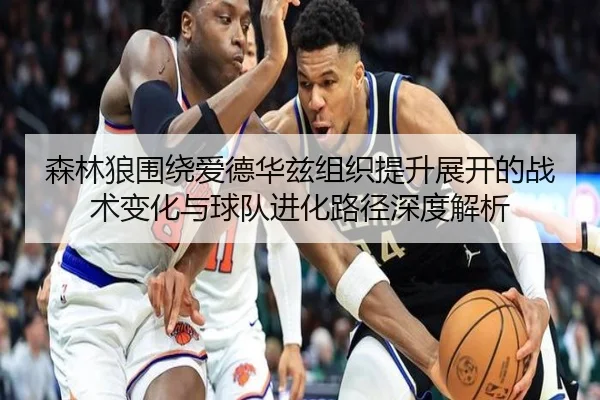 森林狼围绕爱德华兹组织提升展开的战术变化与球队进化路径深度解析