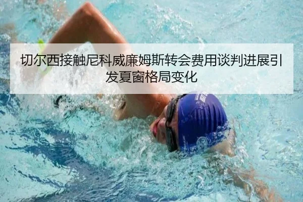 切尔西接触尼科威廉姆斯转会费用谈判进展引发夏窗格局变化